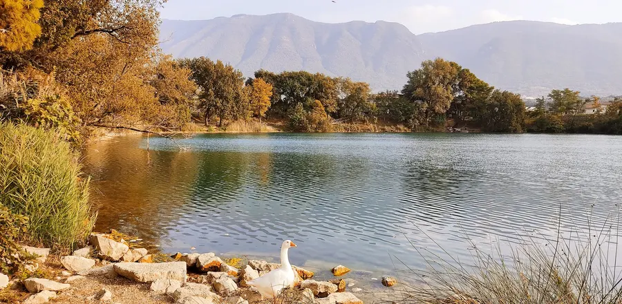 Il lago in autunno, all'ora della luce bassa