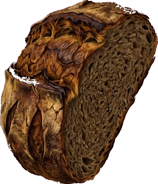 Illustrazione di una pagnotta di pane casereccio