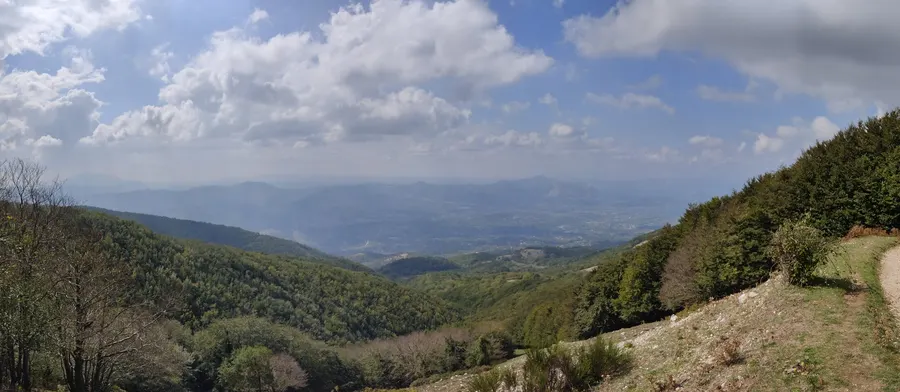 Il vallone boscoso verso il Sannio